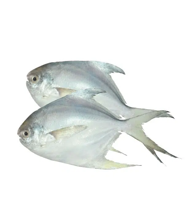 0114224_rupchada-fish