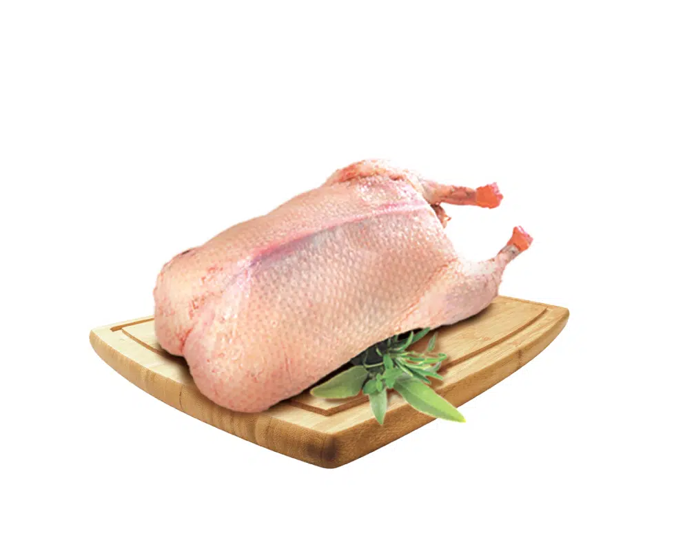 0618749_beijing-duck